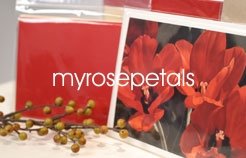 Clear Cello/Cellophane Bags - Resealable Lip N Tape - 100 Bags - 10" x 13"