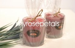 Clear Cello/Cellophane Bags-Gusseted- 100 Bags- 2.5" x 2" X 6" - Wedding Favors