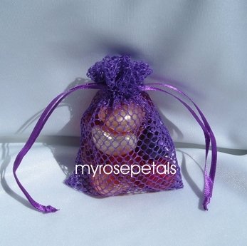 3x4 Mesh Fishnet Wedding Favor Gift Bags/Jewelry Pouches - Purple (10 Bags)