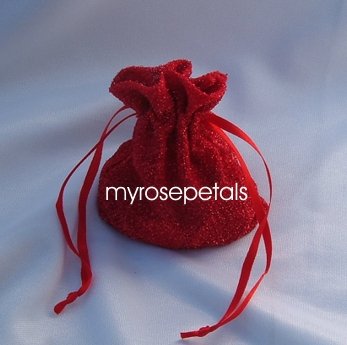 3x4 Sparkle Fabric Wedding Favor Gift Bags/Pouches - Red (10 Bags)