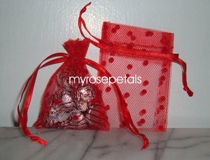 3x4 Tulle Polka Dots Wedding Favor Gift Bags/Pouches - Red (10 Bags)