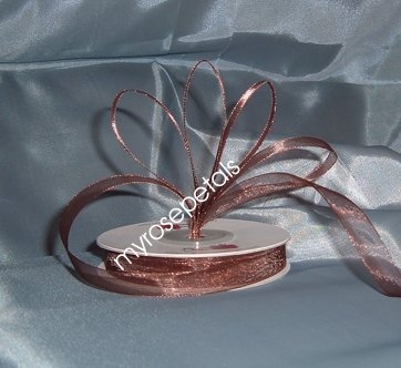 Sheer Organza Ribbon Mono Edge - 3/8" - 25 Yards (75 FT) - Brown