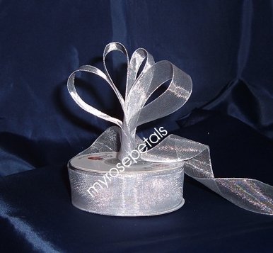 Sheer Organza Ribbon Mono Edge - 3/8" - 25 Yards (75 FT) - Silver