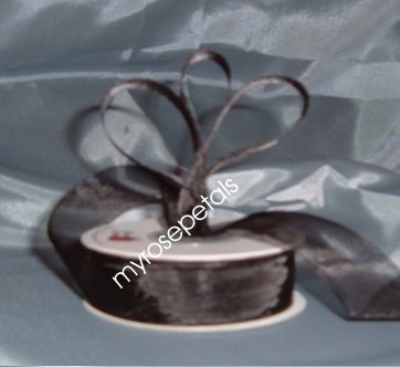Sheer Organza Ribbon Mono Edge - 5/8" - 25 Yards (75 FT) - Black