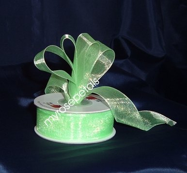 Sheer Organza Ribbon Mono Edge - 5/8" - 25 Yards (75 FT) - Lime Green