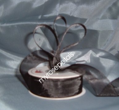Sheer Organza Ribbon Mono Edge - 7/8" - 25 Yards (75 FT) - Black