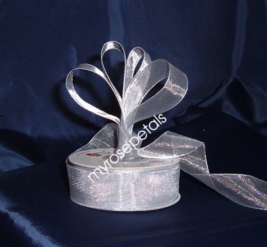 Sheer Organza Ribbon Mono Edge - 7/8" - 25 Yards (75 FT) - Silver