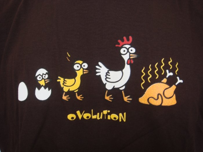 Mens Womens Chicken Evolution Funny T-Shirt Dark Brown L