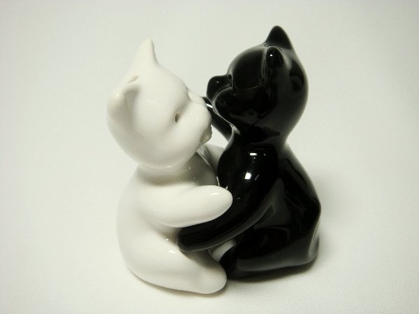 Ceramic Salt & Pepper Shakers Black & White Cat Hug