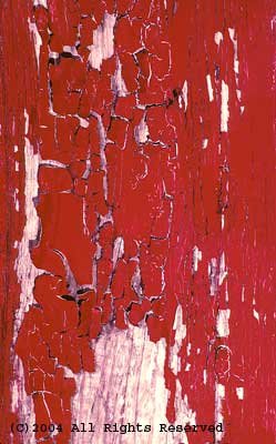 Bright Red Paint of a Past Era Photo Print 8x10