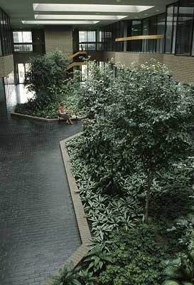 Ashford Atrium II Photo Print 8x10