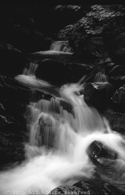 Serenity Falls BW Giclee Art Print 12x16