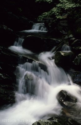 Serenity Falls Smokey Mountains Giclee Art Print 12x16