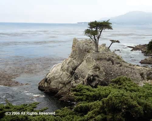 Monterey Bay Giclee Art Print 12x16