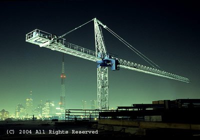 City View Crane Giclee Art Print 12x16