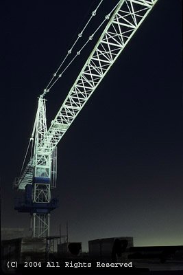 Night Crane Giclee Art Print 12x16