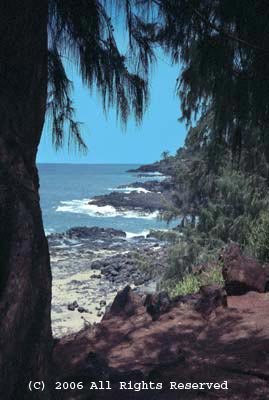 Hawaii Vista Giclee Art Print 12x16