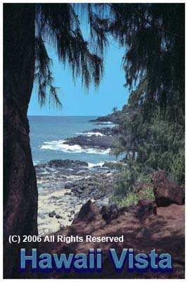 Hawaii Vista Giclee Art Poster 16x20