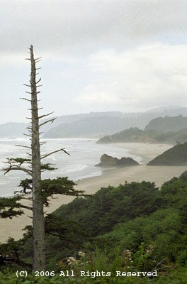 Sentinel on the Oregon Coast Giclee Art Print 12x16