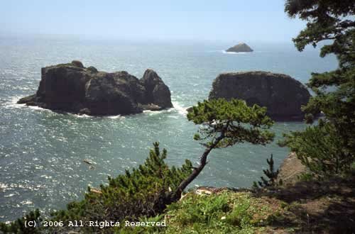 Peaceful Morning Oregon Coast Giclee Art Print 12x16