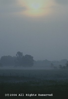 Arkansas Foggy Morning Giclee Art Print 12x16