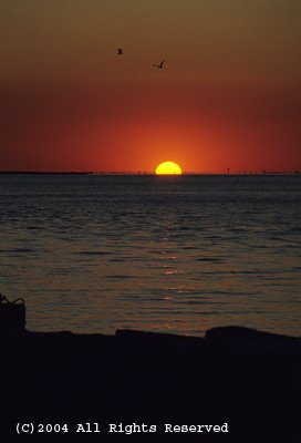Sundown on the Beach Giclee Art Print 12x16
