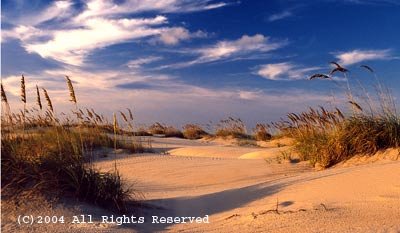 South Parde Island Giclee Art Print 12x16