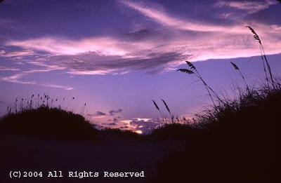 Day Break on the Dunes Giclee Art Print 12x16