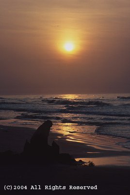 West Beach Galveston Giclee Art Print 12x16