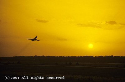 The Last Flight Out Giclee Art Print 12x16
