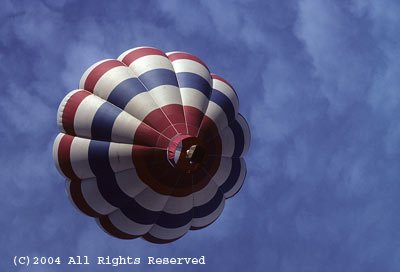Red White and Blue Balloon Giclee Art Print 12x16