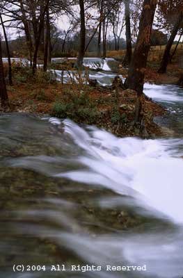 Quadalupe River Giclee Art Print 12x16