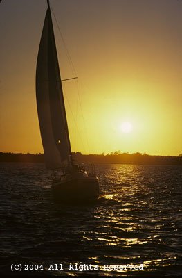 Sunset Sailing Giclee Art Print 12x16