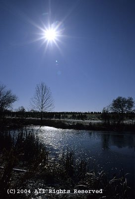 Winter Sunshine Giclee Art Print 12x16
