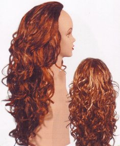 P 2593 3 -4 WIGS MT