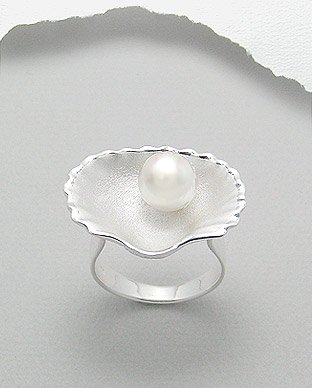 shell ring