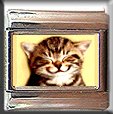 KITTY KITTEN SMILE ITALIAN PHOTO CHARM