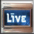 LIVE ITALIAN CHARM CHARMS