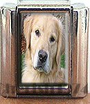 GOLDEN RETRIEVER ITALIAN CHARM CHARMS