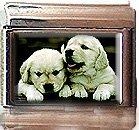 GOLDEN RETRIEVER PUPPIES ITALIAN CHARM CHARMS