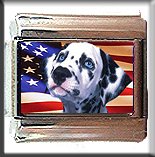 DALMATION AND AM FLAG ITALIAN CHARM CHARMS