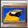 BLUE AND GOLD MCCAW ITALIAN CHARM
