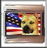 AMERICAN STAFFORDSHIRE TERRIER AND AM FLAG ITALIAN CHARM