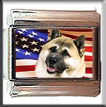 AKITA INU AND AM FLAG ITALIAN CHARM