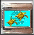 SEA TURTLES ITALIAN CHARM