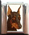 RED DOBERMAN PINSCHER ITALIAN CHARM