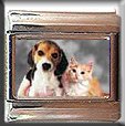 PUPPY AND KITTEN ITALIAN CHARM