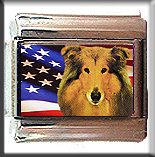 COLLIE AND AM FLAG ITALIAN CHARM