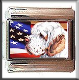 CLUMBER SPANIEL AND AM FLAG ITALIAN CHARM