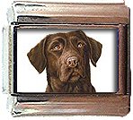 CHOCOLATE LARADOR ITALIAN CHARM
